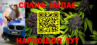 бошки Новозыбков