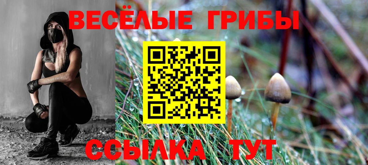Псилоцибиновые грибы GOLDEN TEACHER  Вход с VPN  Туймазы 